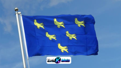 Flag of Sussex