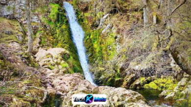 Linhope Spout